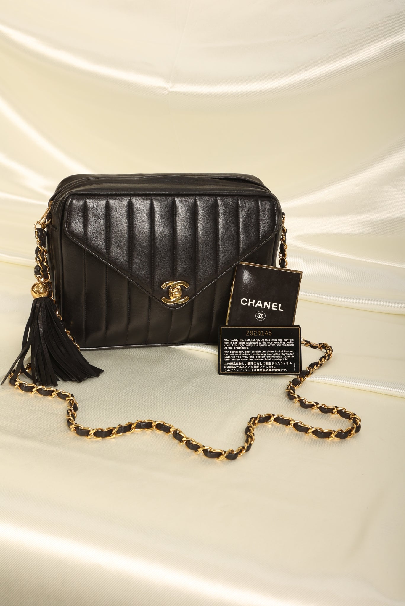 Chanel Lambskin Vertical Camera Bag