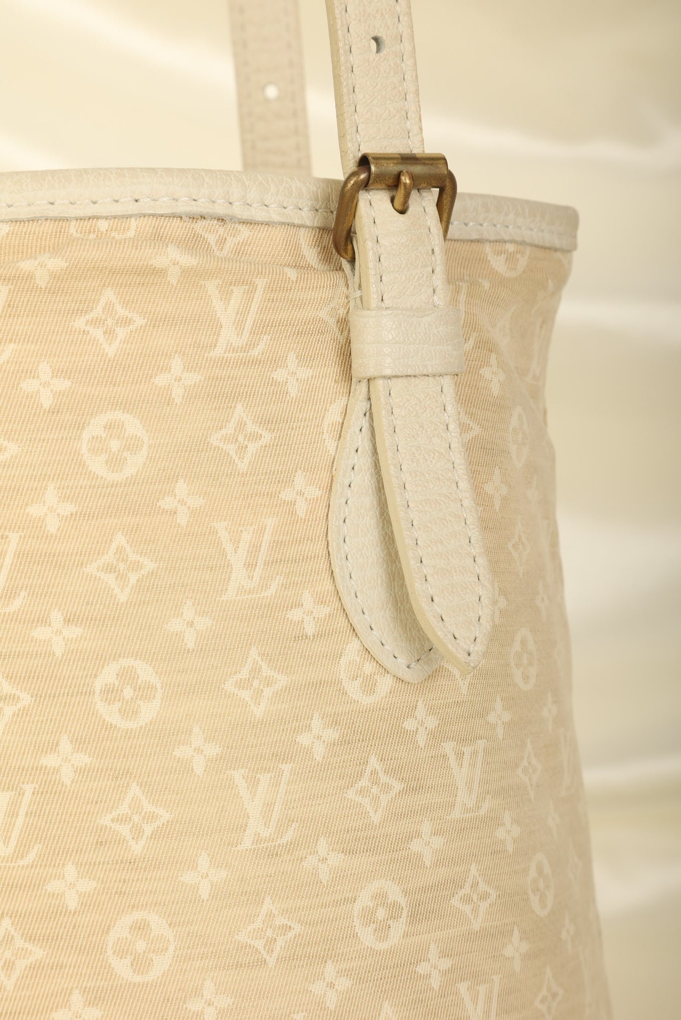 Louis Vuitton Mini Lin Bucket Bag with Pochette – SFN