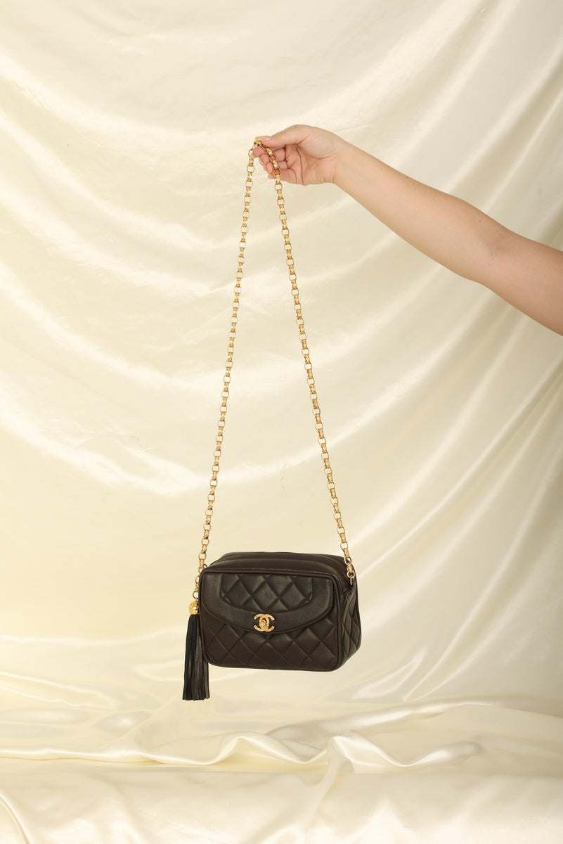 Chanel Lambskin Diana Bijoux Mini Camera Bag