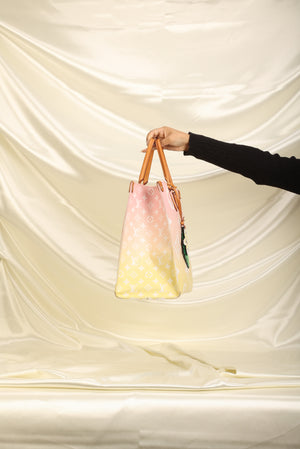 Louis Vuitton Purses Clear Plastic Bag
