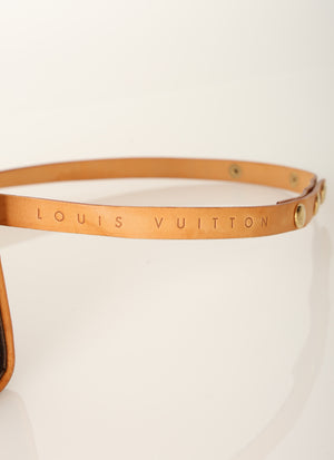 Louis Vuitton Monogram Forentine Waist Bag