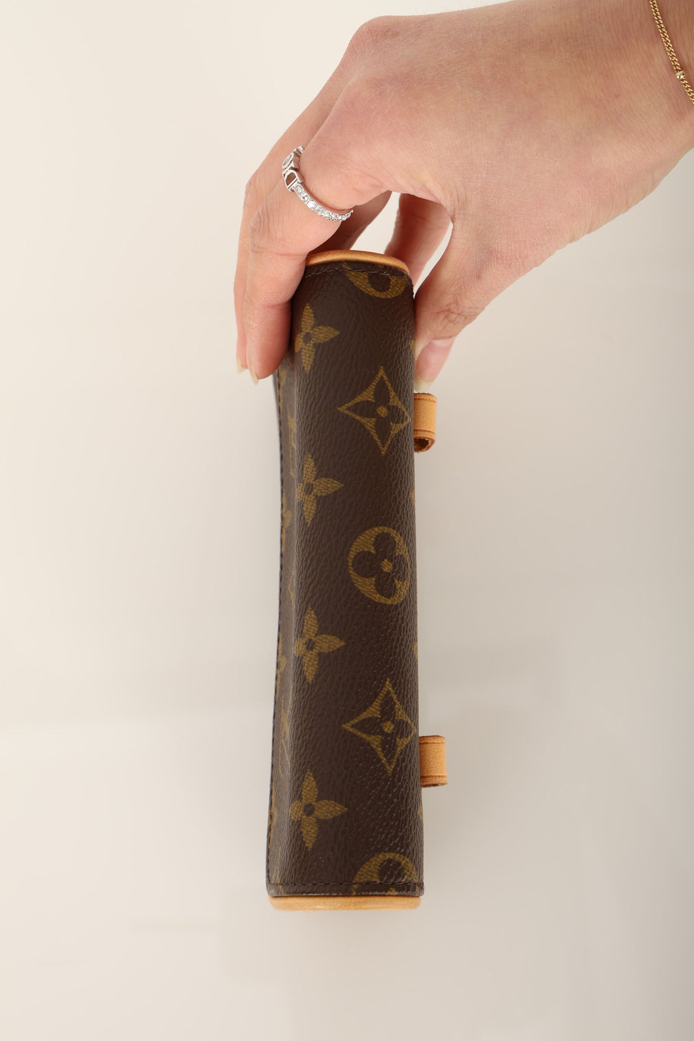Louis Vuitton Monogram Florentine Waist Bag