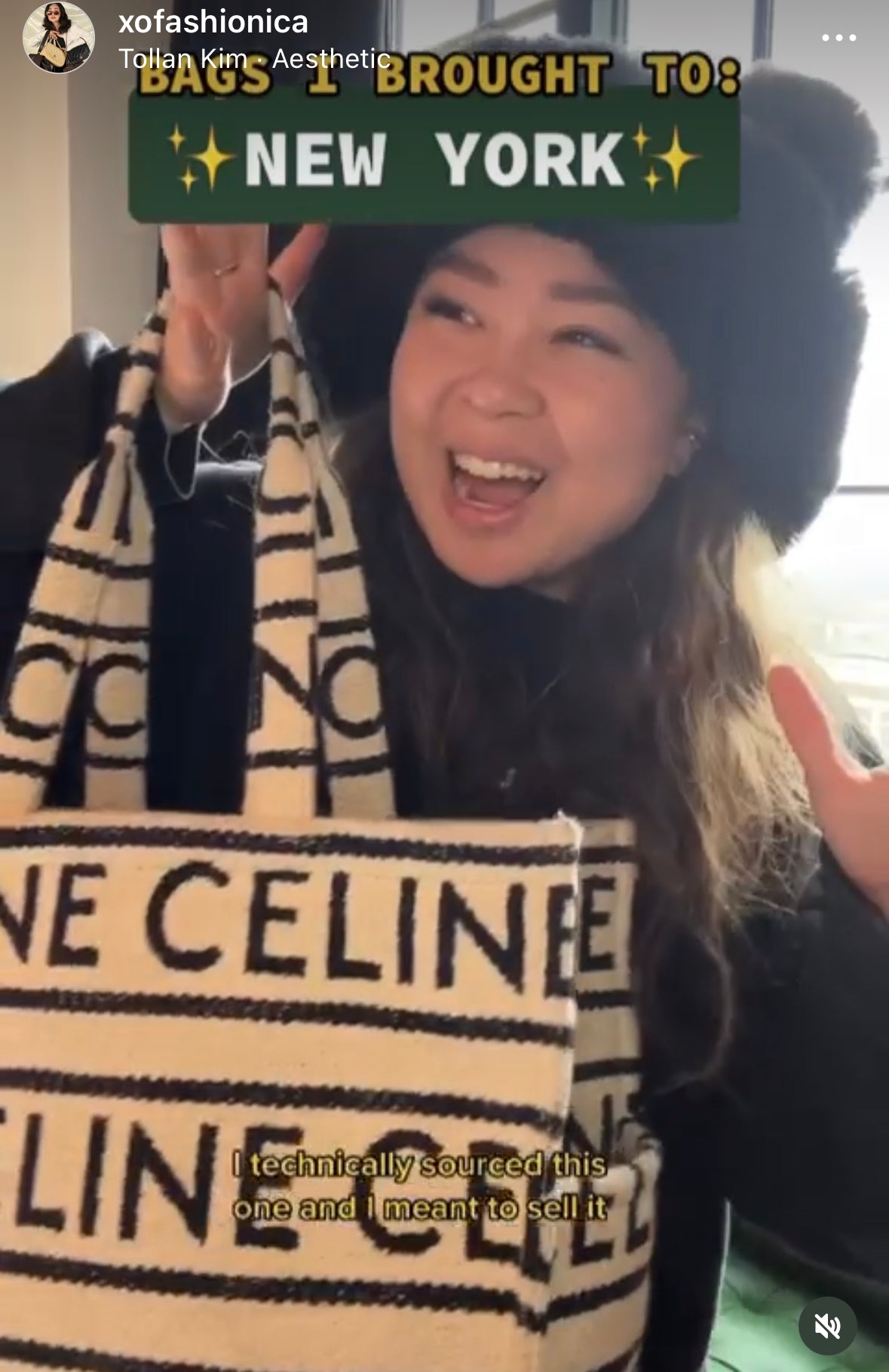 Celine 2022 Large All Over Cabas Thais Tote