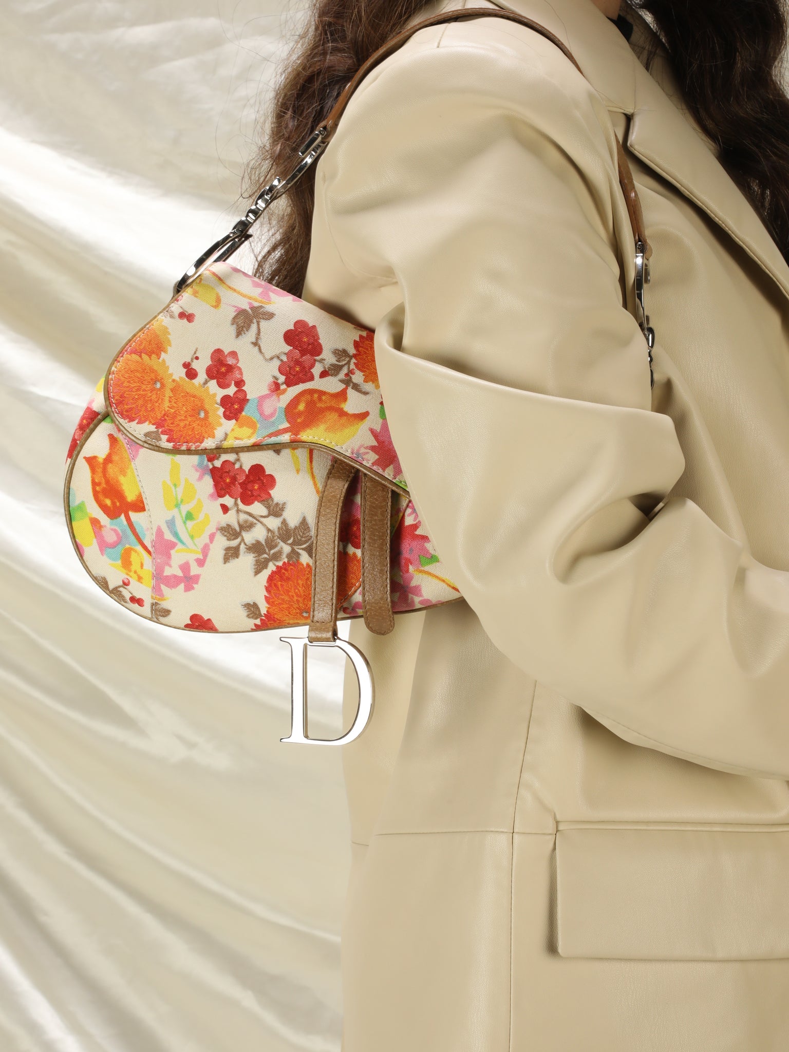 Dior Y2K Saddle Bag