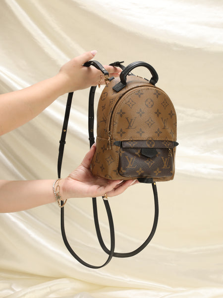 LOUIS VUITTON PALM SPRINGS MINI  Review & how I got my hands on it 
