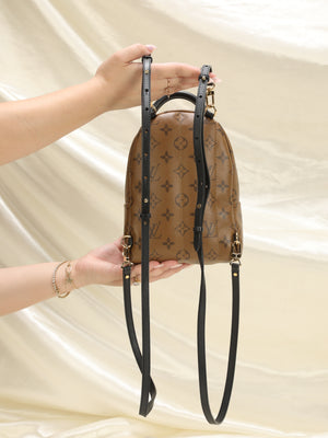Louis Vuitton Reverse Monogram Palm Springs Mini Backpack - A
