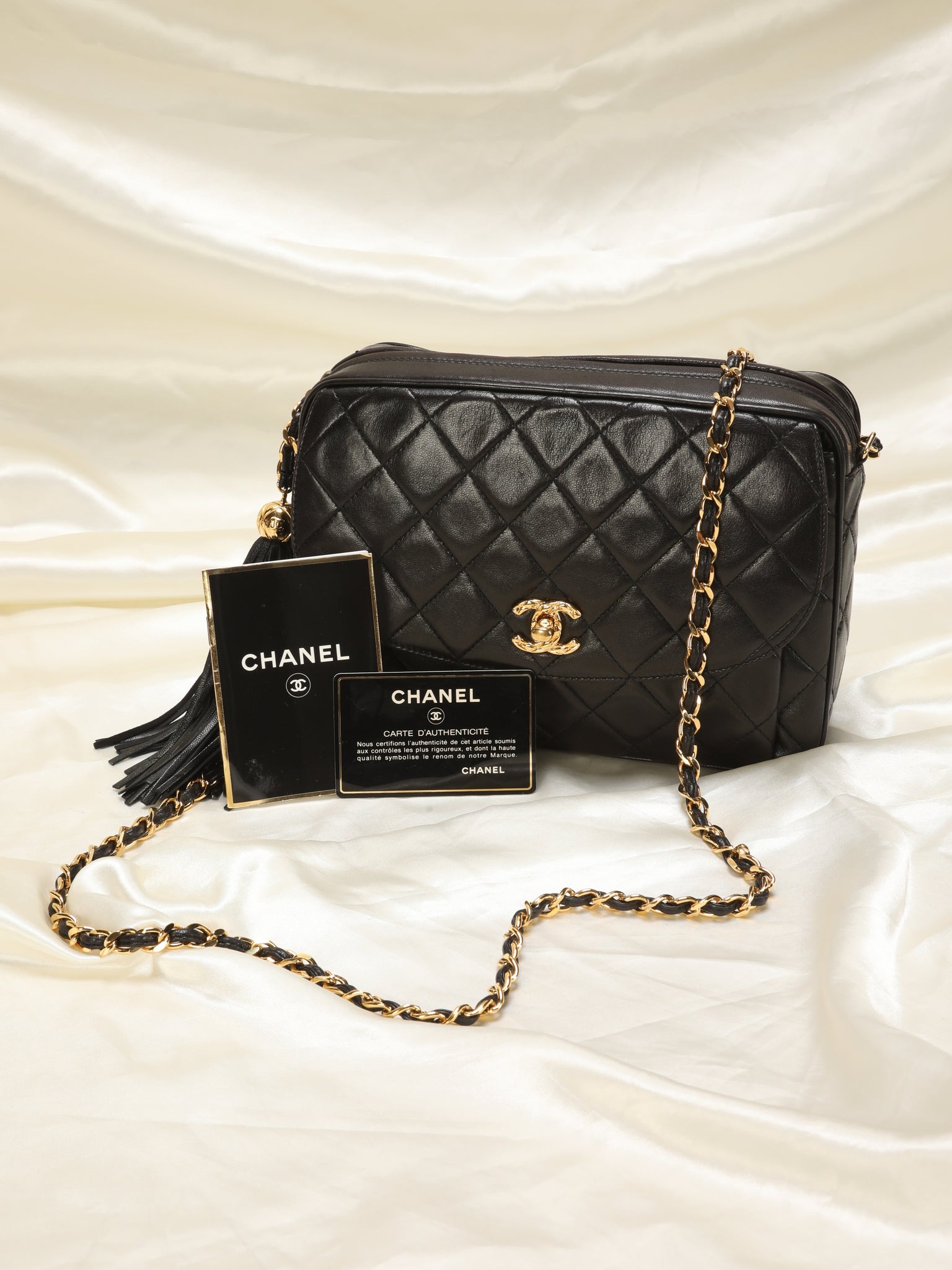 Chanel Lambskin Turnlock Camera Bag