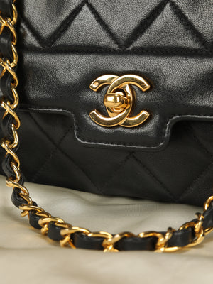 Chanel Small Diana Flap Bag
