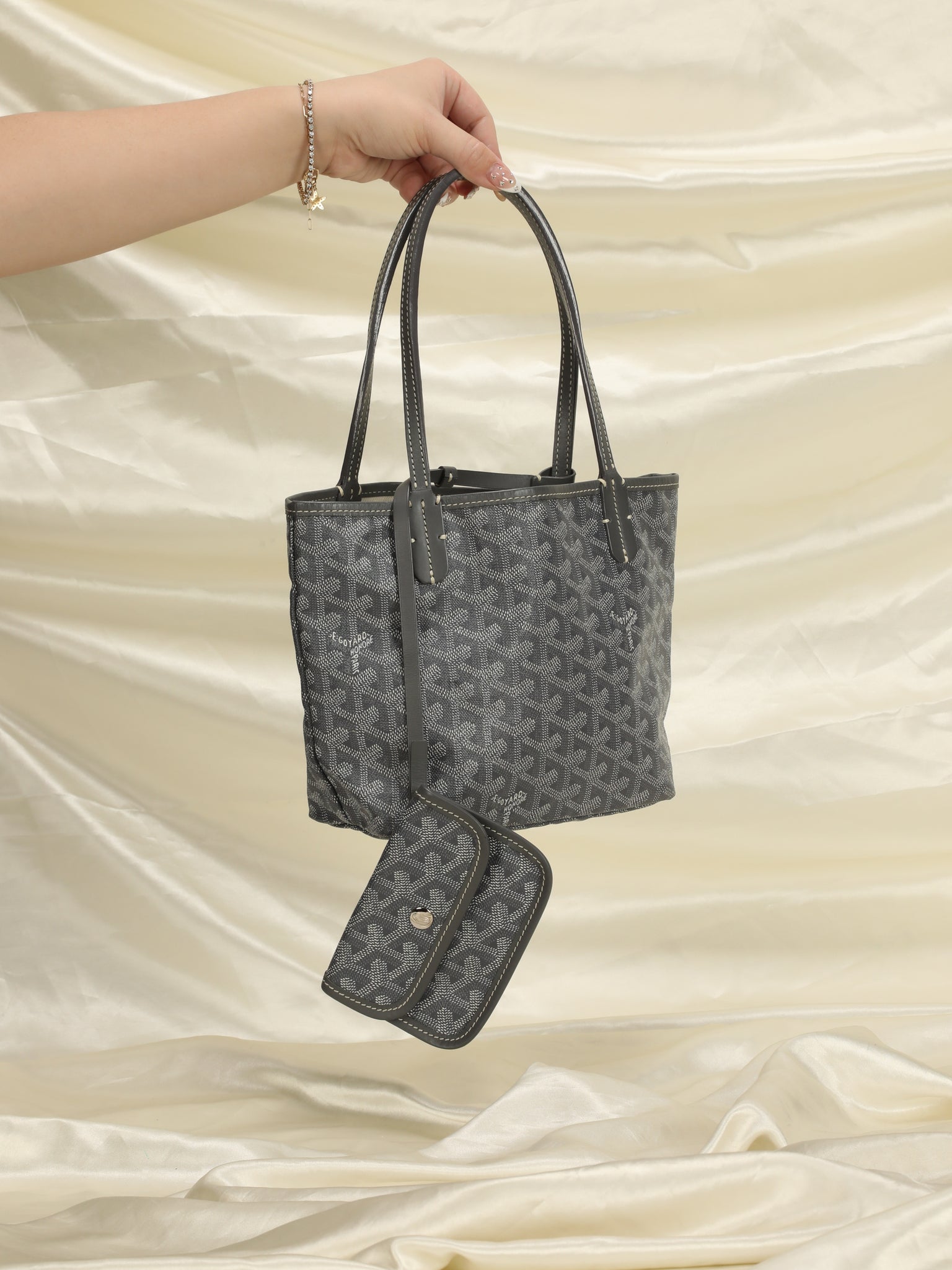 Authentic GOYARD Anjou Mini Bag with Pouch in Black, Reversible, New 2023  Season