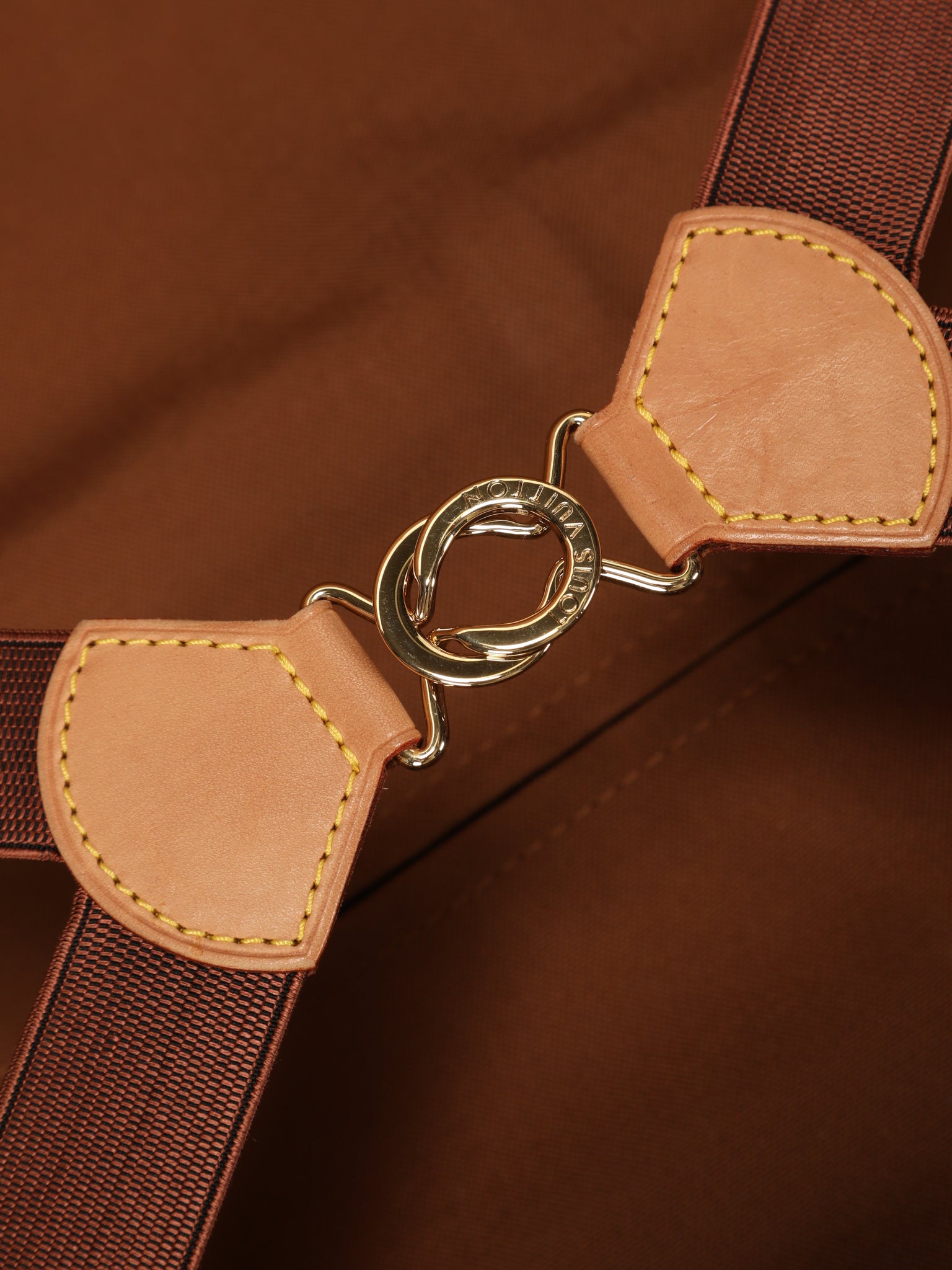 Louis Vuitton Grizzli Taiga Leather Pegase 50 Business Suitcase - Yoogi's  Closet