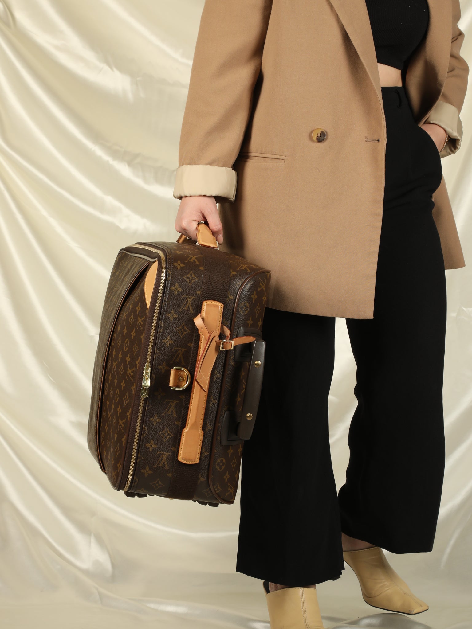 Louis Vuitton Grizzli Taiga Leather Pegase 50 Business Suitcase - Yoogi's  Closet