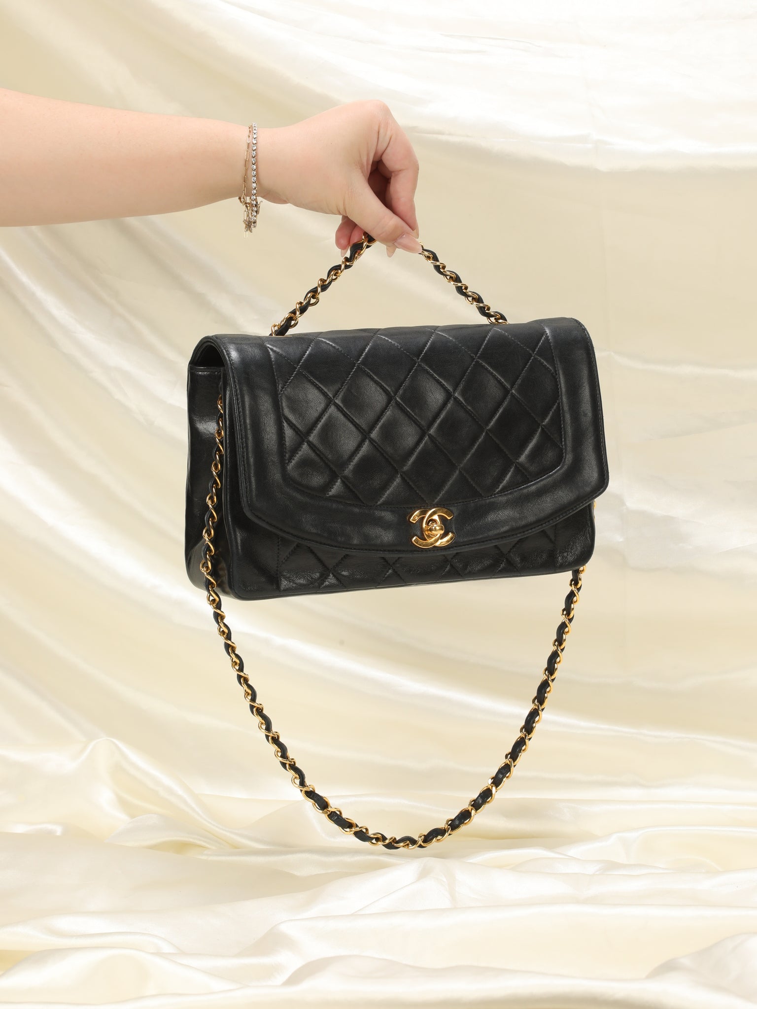 the chanel bag book