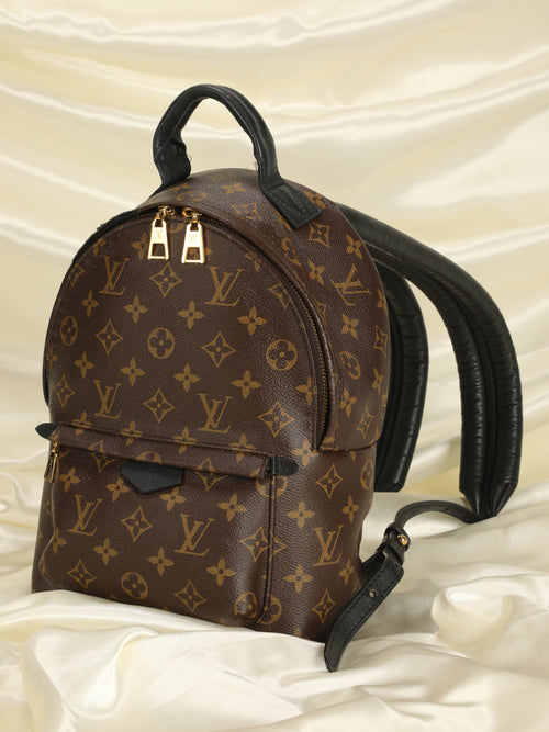Louis Vuitton Palm Springs PM Backpack – SFN