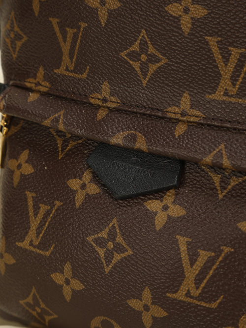 Louis Vuitton Palm Crossbody Bags for Women