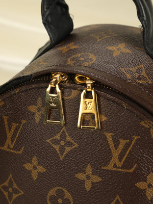 Louis Vuitton Palm Spring PM backpack $1399.99