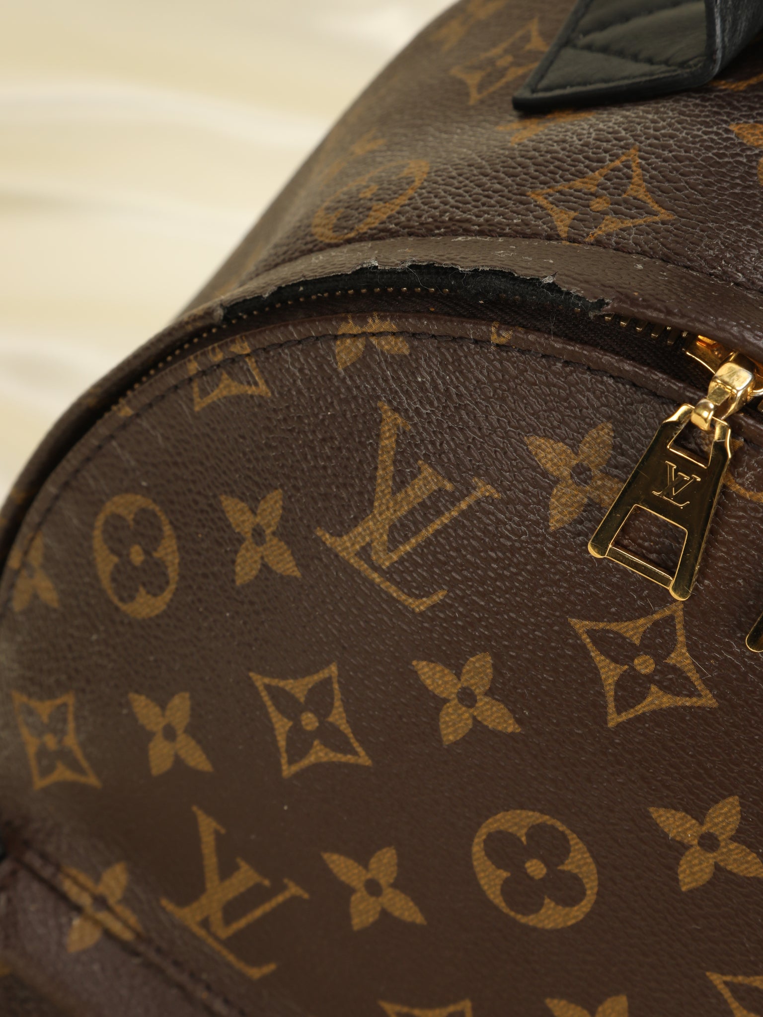 Louis Vuitton Palm Springs PM Backpack – Shop with Stevi