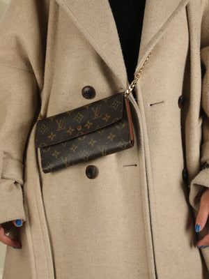 Louis Vuitton Long Wallet on Chain