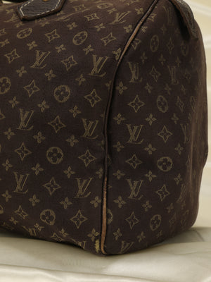 Louis Vuitton Mini Lin Speedy