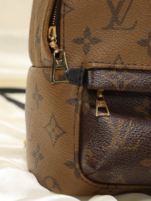 Louis Vuitton Palm Springs Reverse PM Backpack