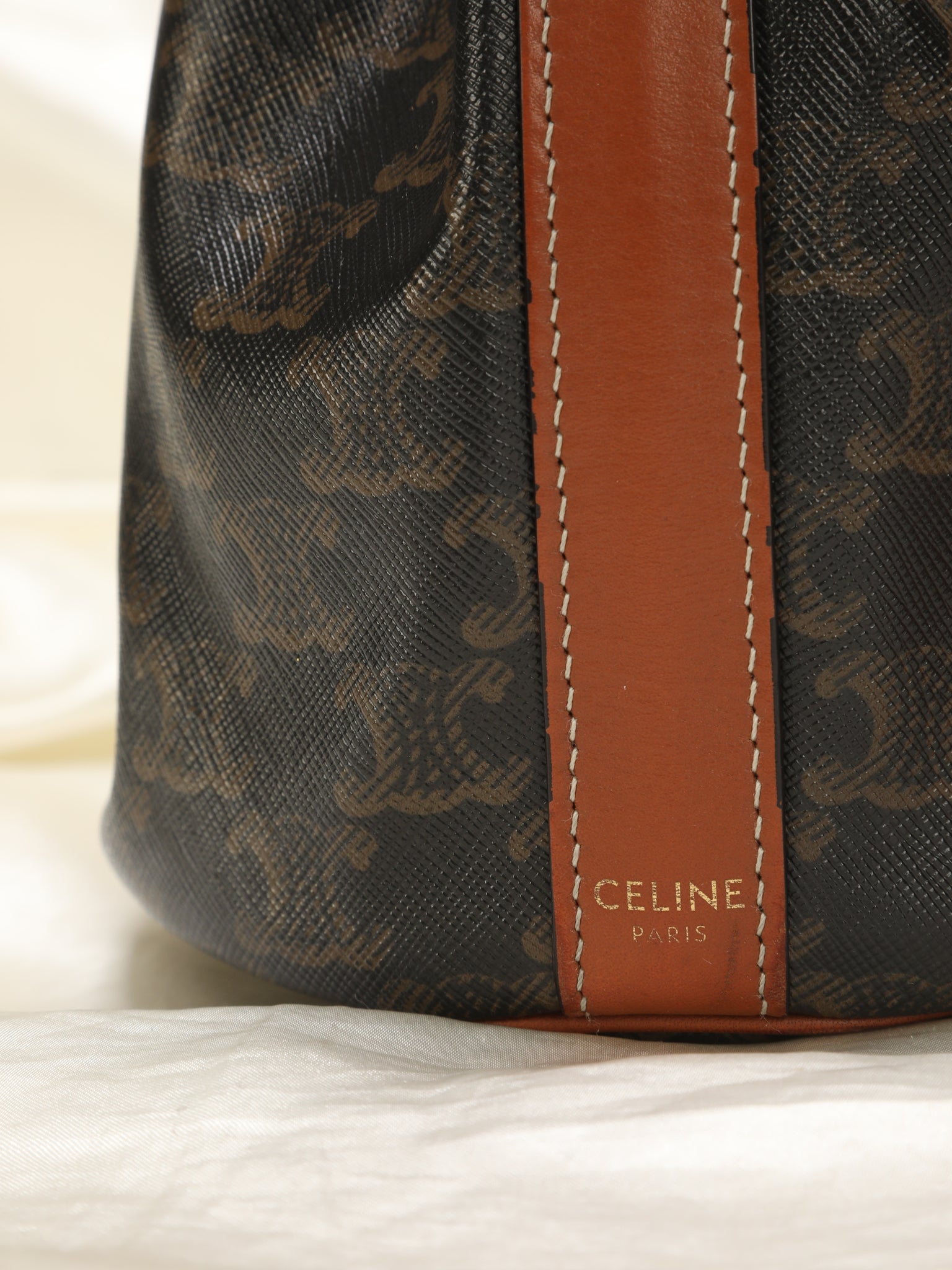 Celine Medium Bucket Bag in Triomphe Canvas and Calfskin: A