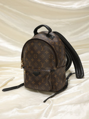 Louis Vuitton Palm Springs Backpack