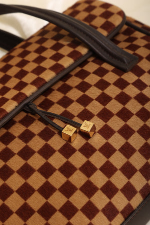 Louis Vuitton Damier Ebene Ponyhair Handle Bag
