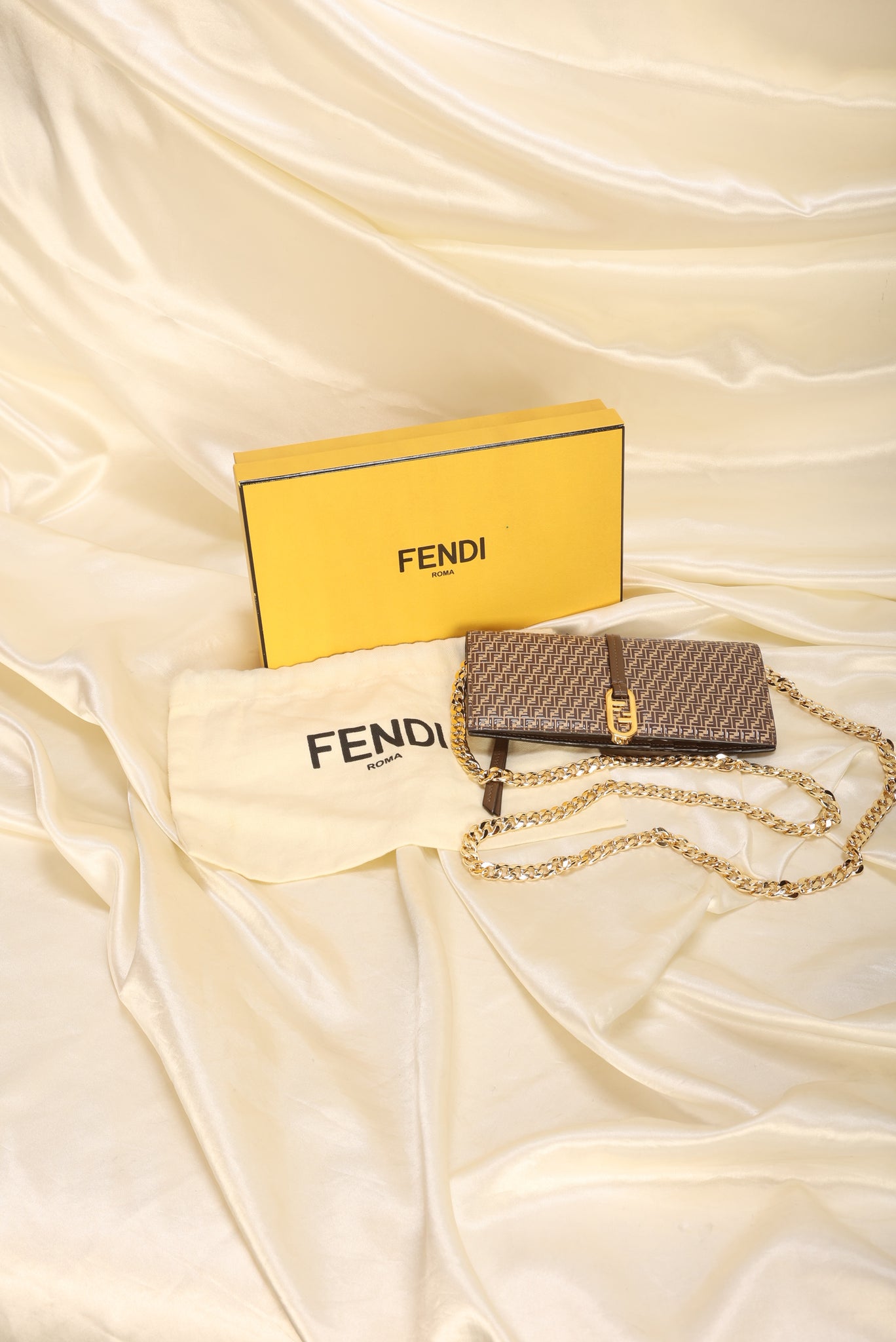 Fendi Zucca Wallet on Chain