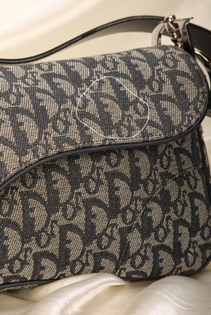 Rare Dior Trotter Saddle Shoulder Bag