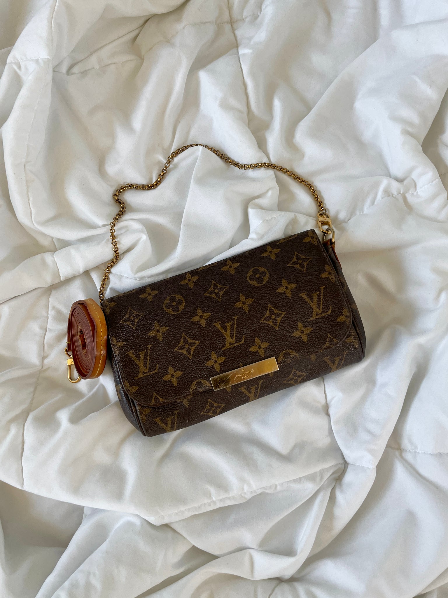 Louis Vuitton Monogram Favorite PM Bag