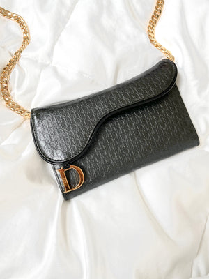 Dior Saddle Wallet on Chain