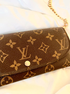 Louis Vuitton Wallet on Chain