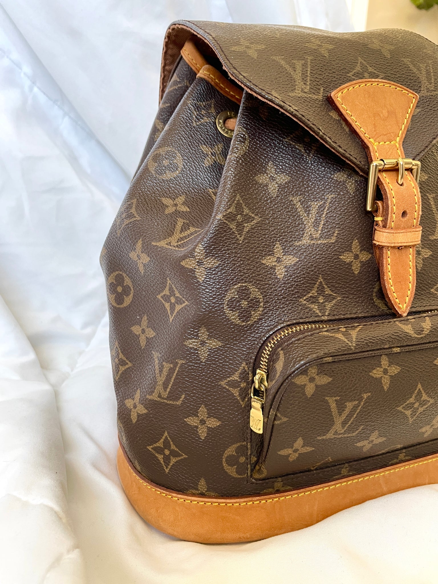 Louis Vuitton Montsouris MM Backpack in 2023