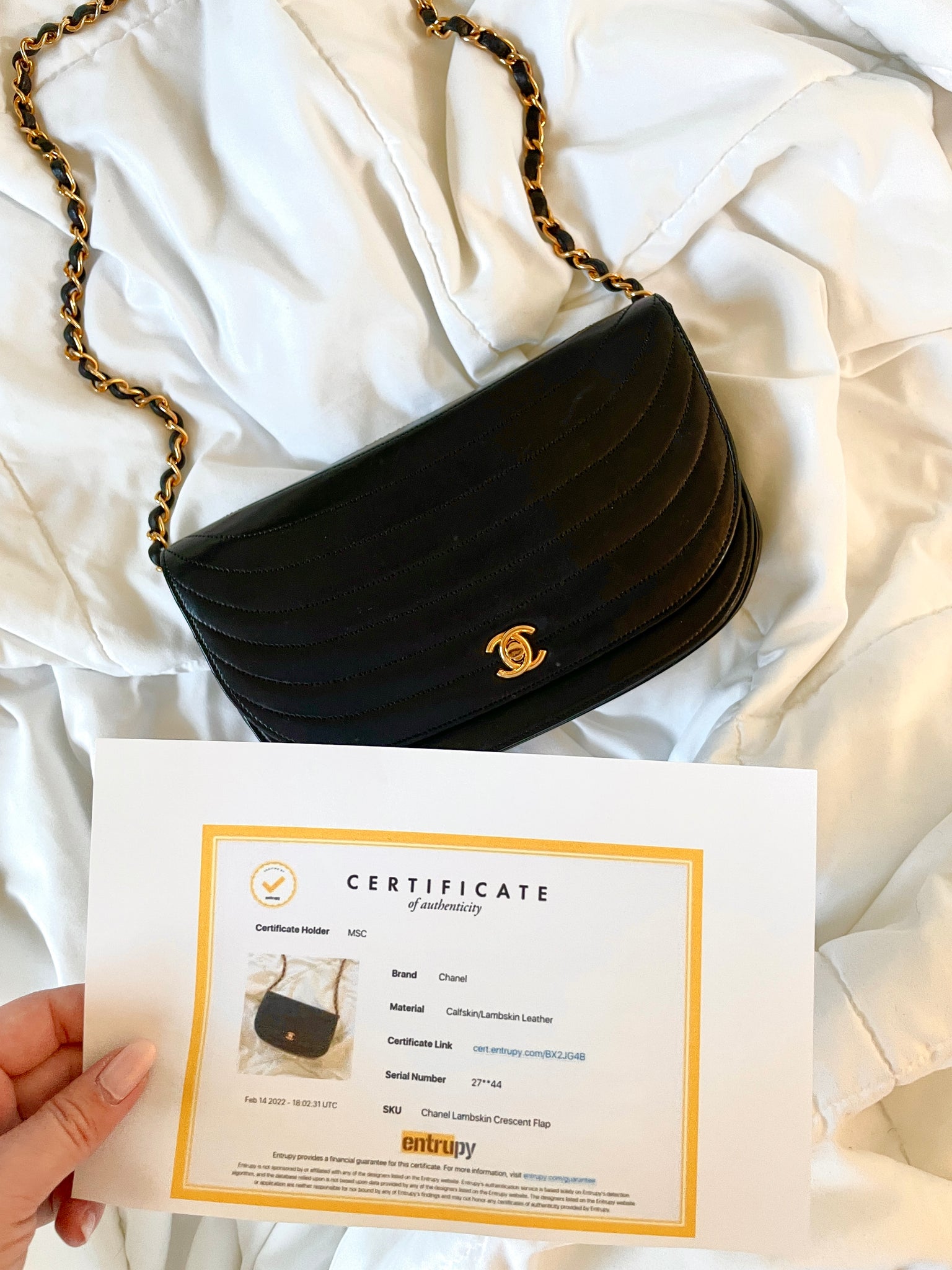 Chanel Small Crescent Flap
