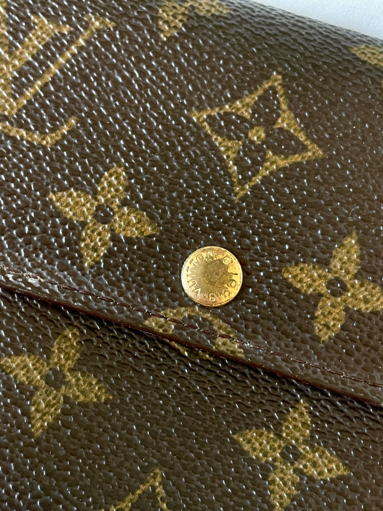 Louis Vuitton Wallet on Chain