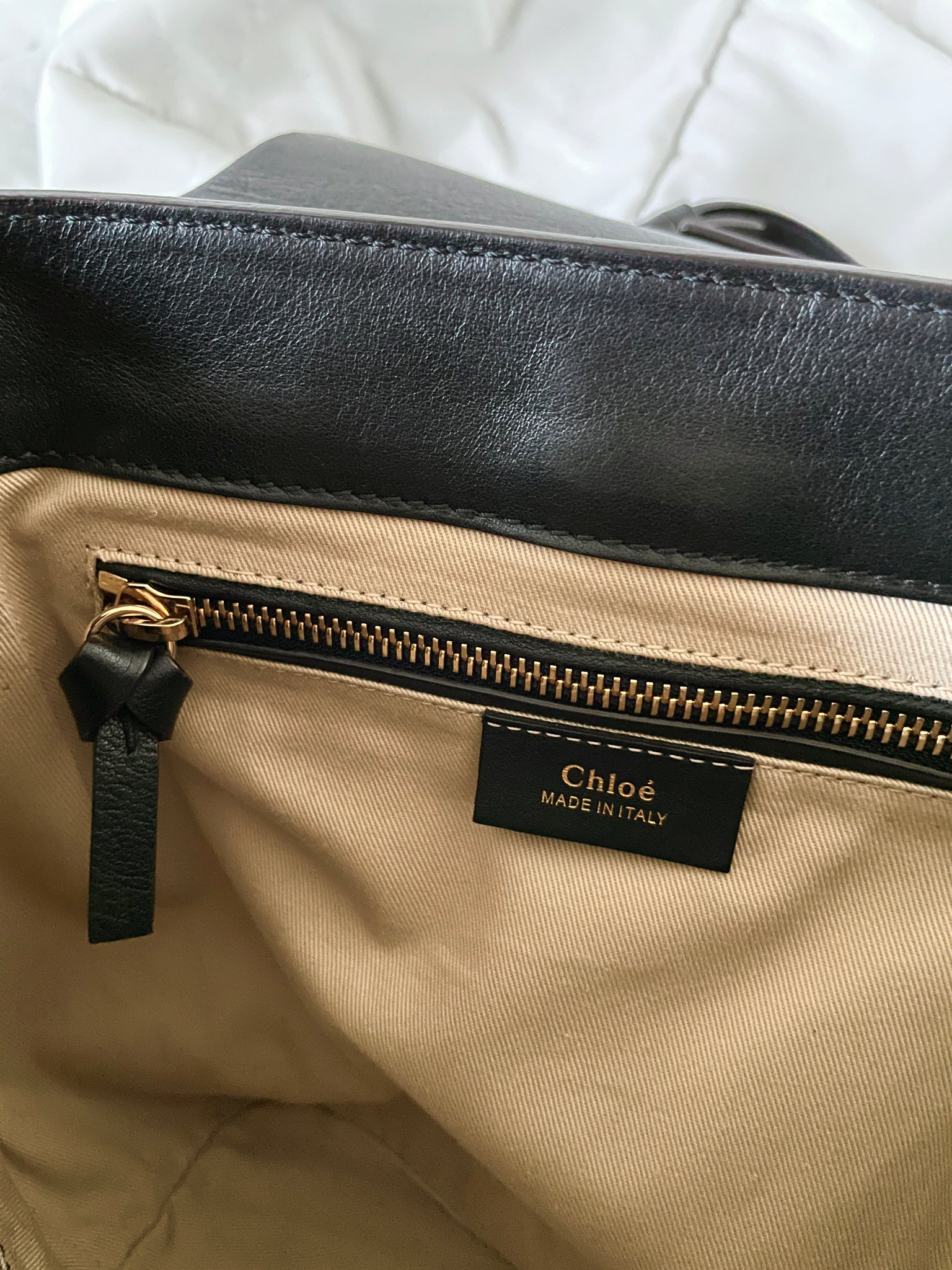 Chloe Faye Backpack Bag Reference Guide - Spotted Fashion